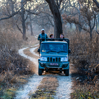 Jungle Safari