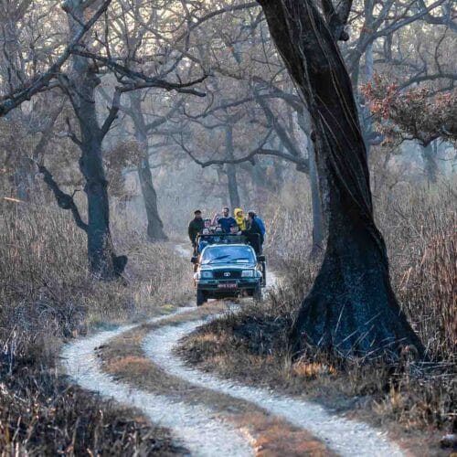 Chitwan Jungle Safari