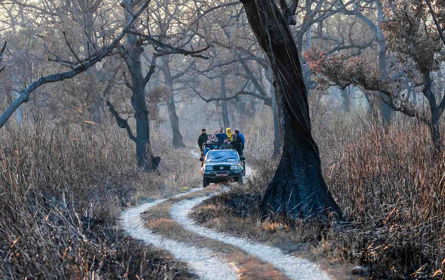 Chitwan Jungle Safari